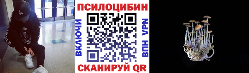 Псилоцибиновые грибы мухоморы  Пущино 